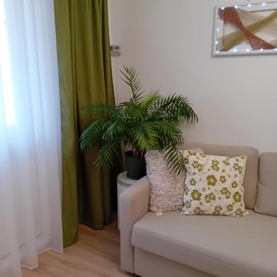 Harmonyhouse Apartment Brasov Exterior photo