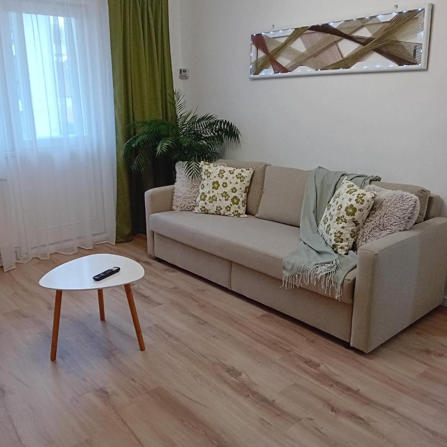 Harmonyhouse Apartment Brasov Exterior photo